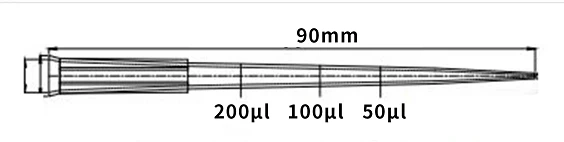300 300
