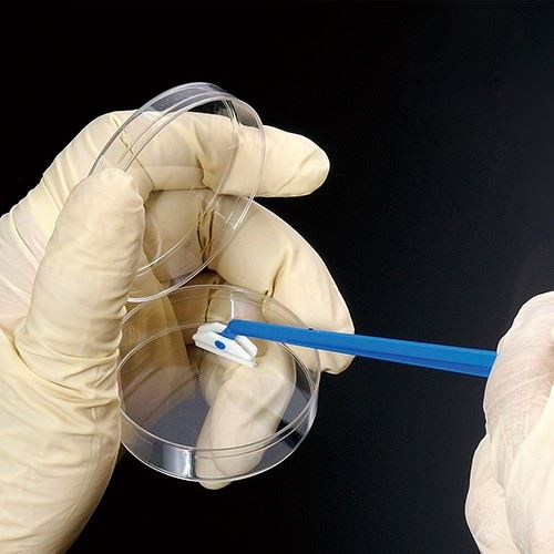 PE Disposable Plastic Sterile Cell Scraper