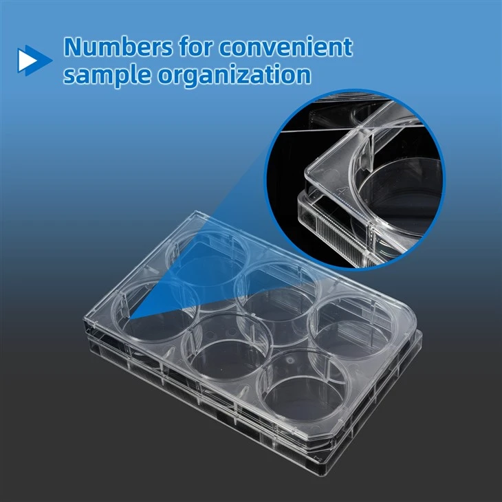 6well 12 Well 24 Well 48 Well 96 Well Tissue Cell Culture Plates